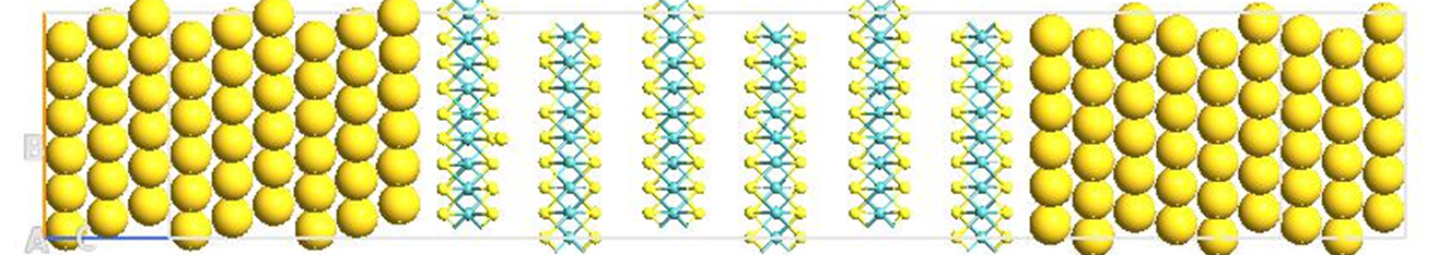 2D_material_Lida Ansari