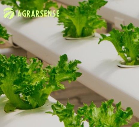 AGRARSENSE