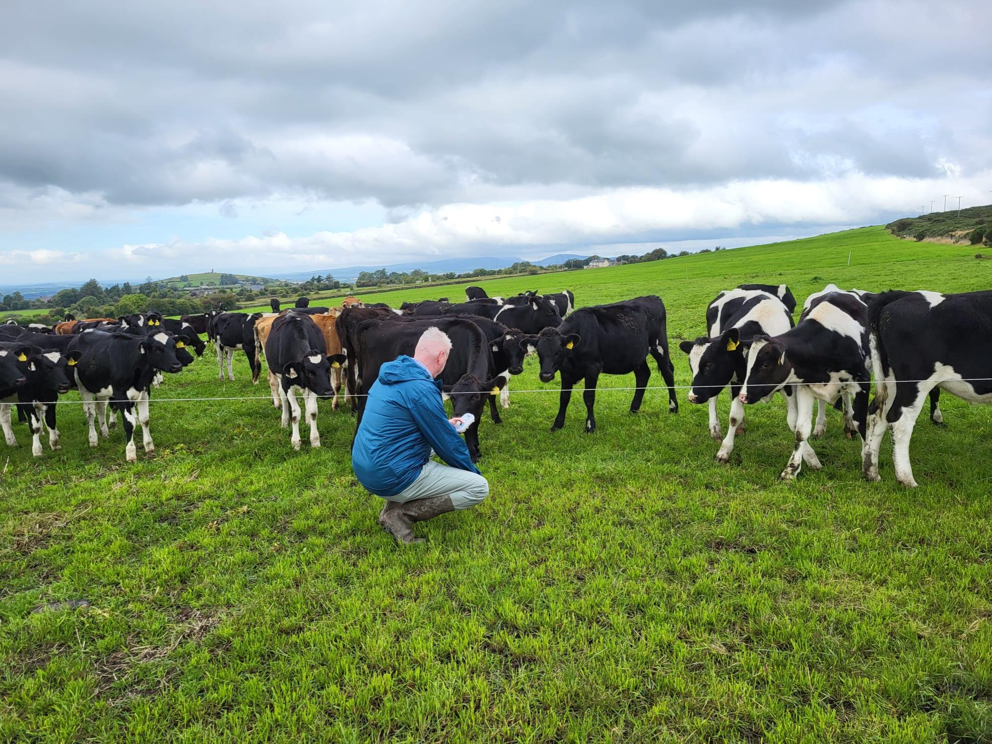 Advancing Environmental Sensing Technologies for Sustainable Solutions
