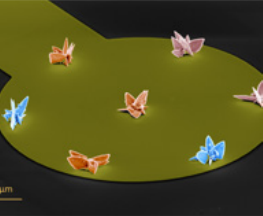 VUSJ-Nano-Butterflies-2022
