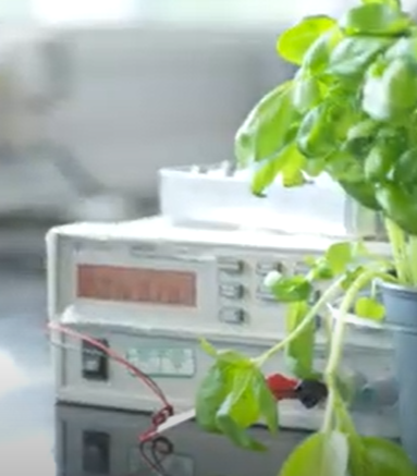 Sustainable Agri & Food