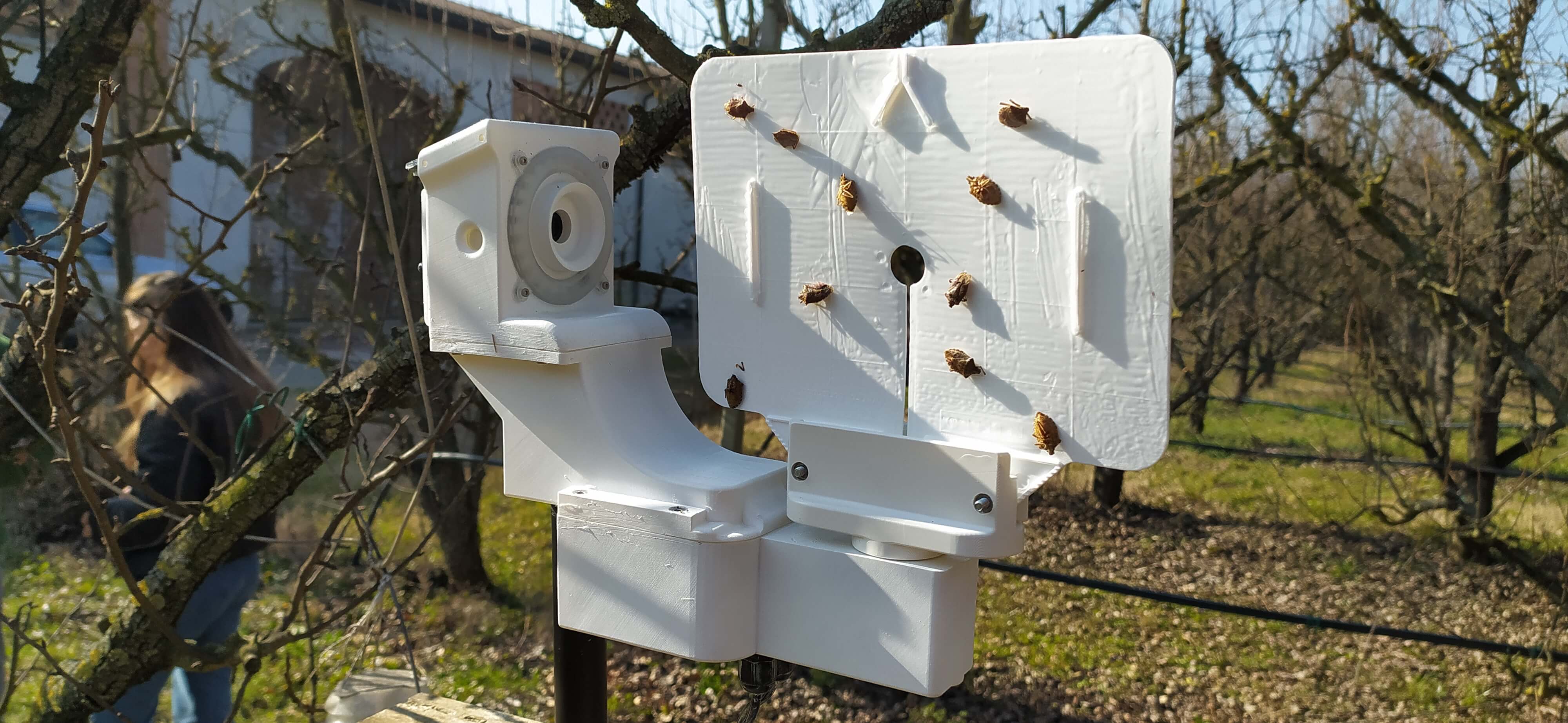 Technology used to monitor Halyomorpha halys (brown marmorated stink bug)