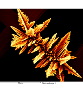 Scientific Image titled 'Gold Leafy Cobaltets' by Padman Narayanasamy and Irish Rohra