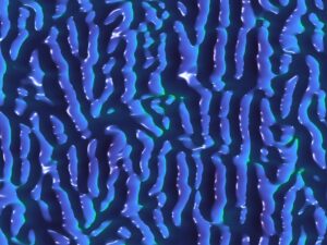 Scientific Image titled 'Information Waves' by Xing Ouyang