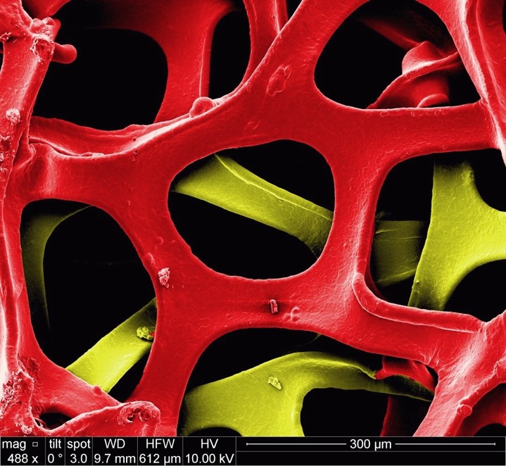 Nickel Web