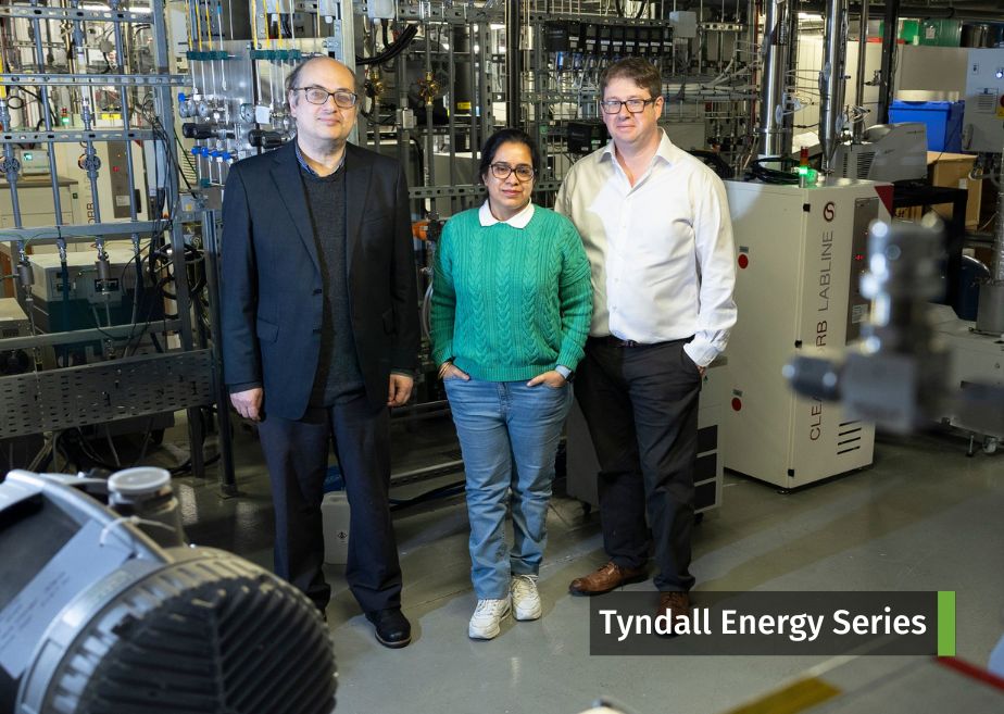 Researchers working on Polinreb project