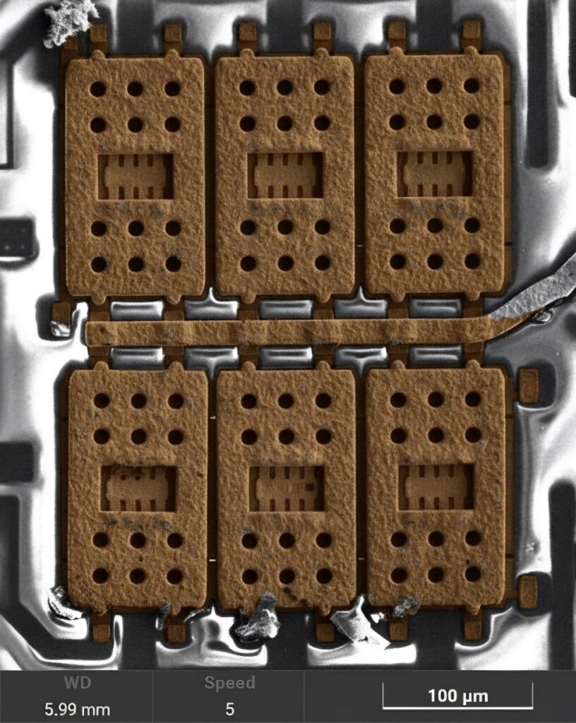 Scientific Image - microscopic landscape of RF MEMS switches